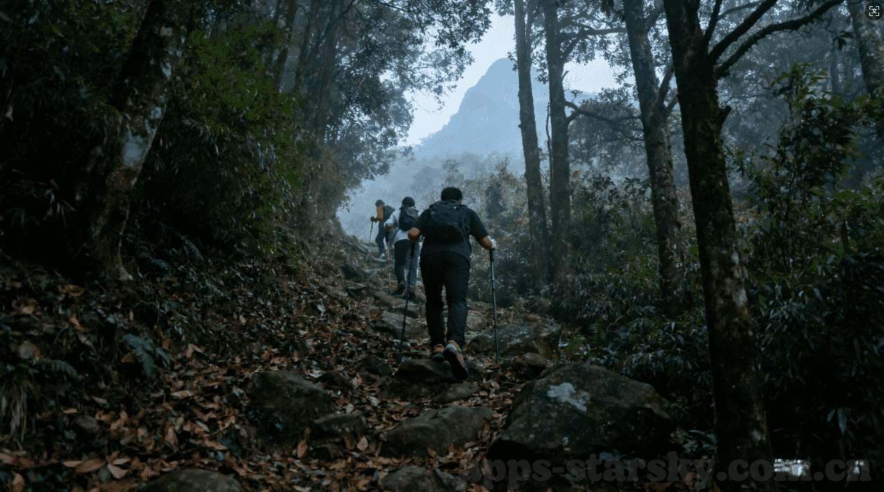 世界杯门票中国人数-世界杯门票中国购票者数量激增，足球热情空前高涨